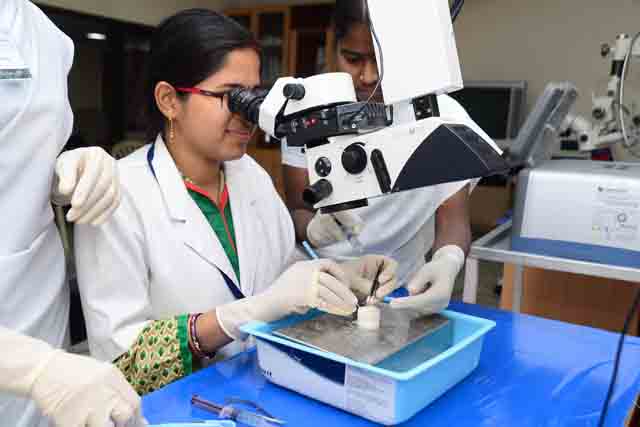 Practicing on a cadaver eye in a wetlab. INDIA (Photo: Aravind Eye Hospital CC BY-NC-SA 4.0)